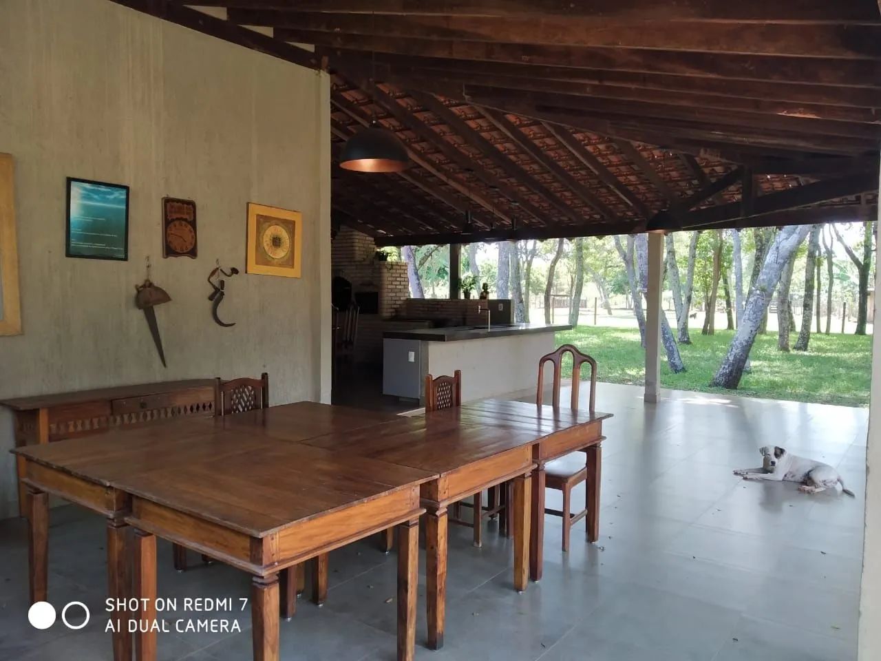 Chácara à venda Rural - Uberlândia/MG - Foto 4