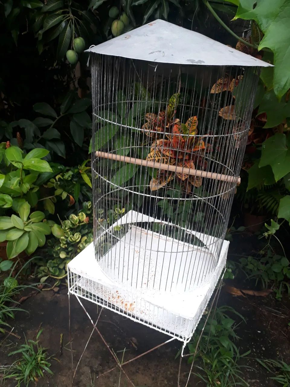 Vendo ótimo viveiro redondo. Barato - Foto 3