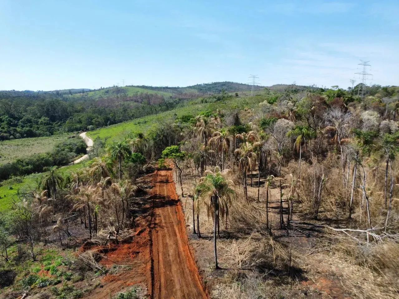 83A- TERRENO COM ÁREA VERDE E AREJADA - Foto 5
