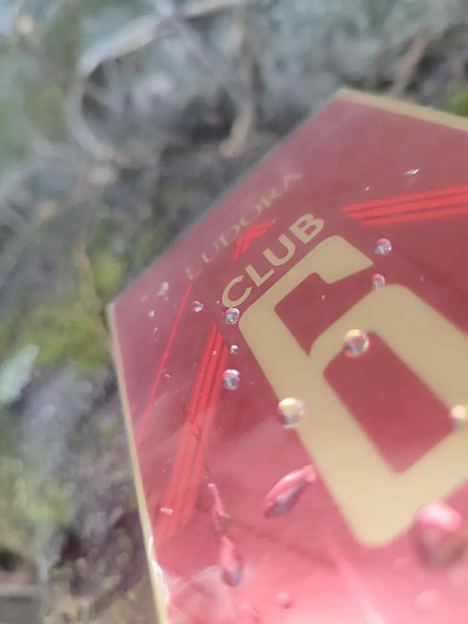 Perfume Club6 fever 
