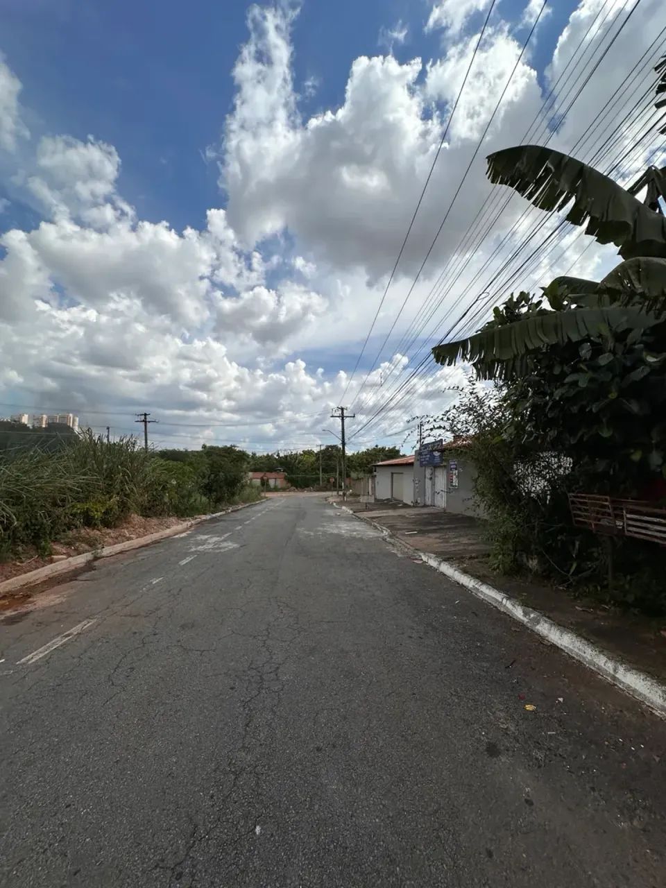 Lote Jardim America - Foto 3