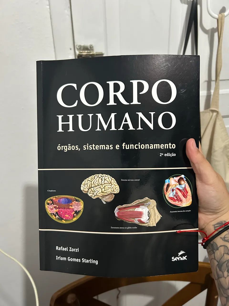 livro corpo humano órgãos sistemas e funcionamento