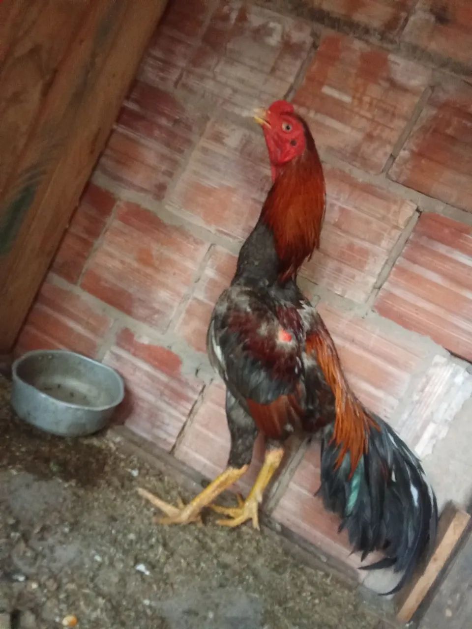 Vendo - Foto 3