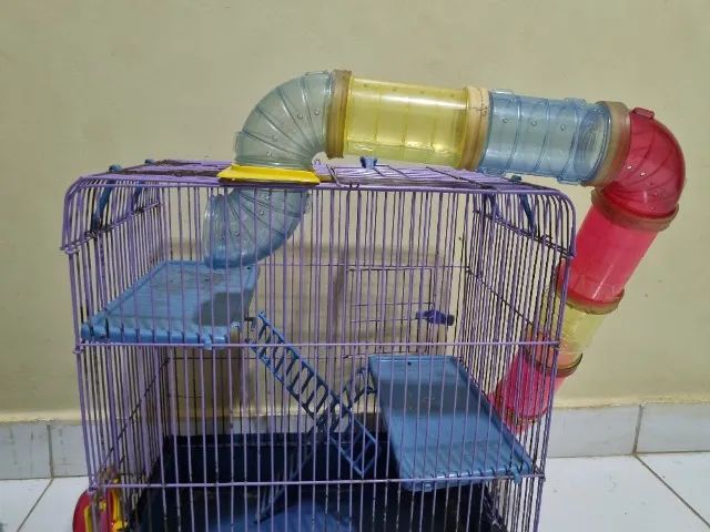 Gaiola para Hamster e Pequenos Roedores - Foto 3