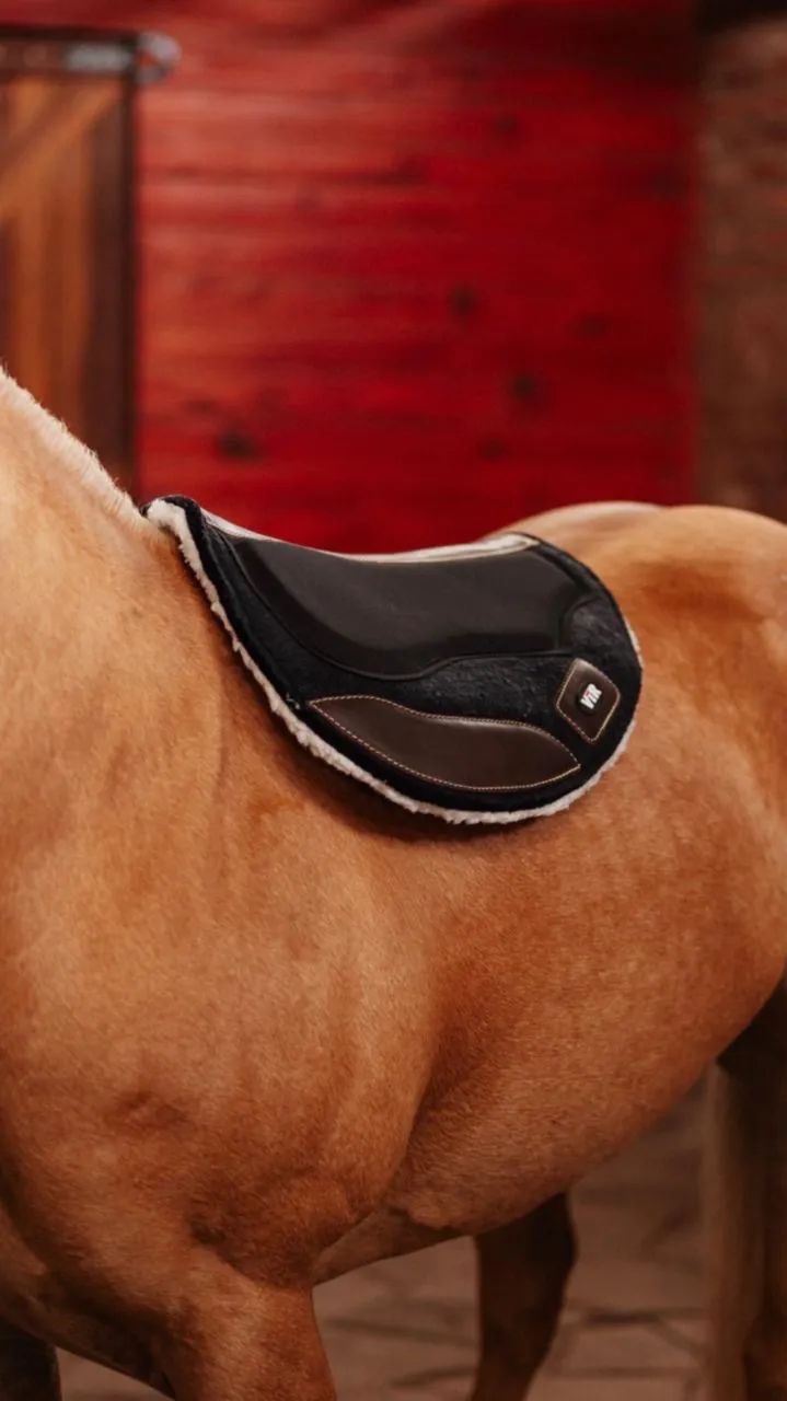 Forro Vtr feltro - Foto 2