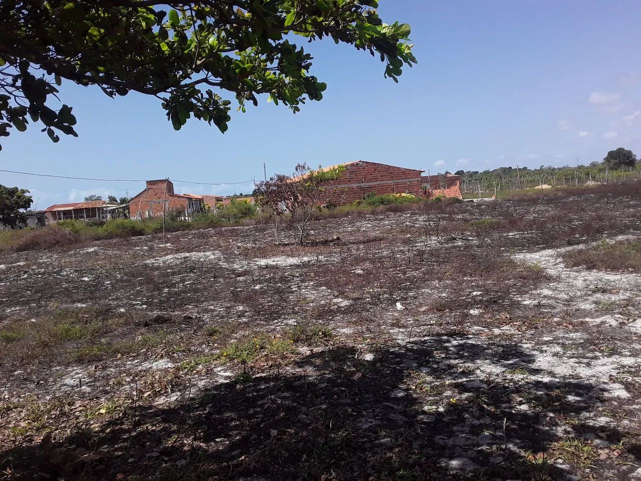 Vendo o terreno todo o lotes - Foto 3