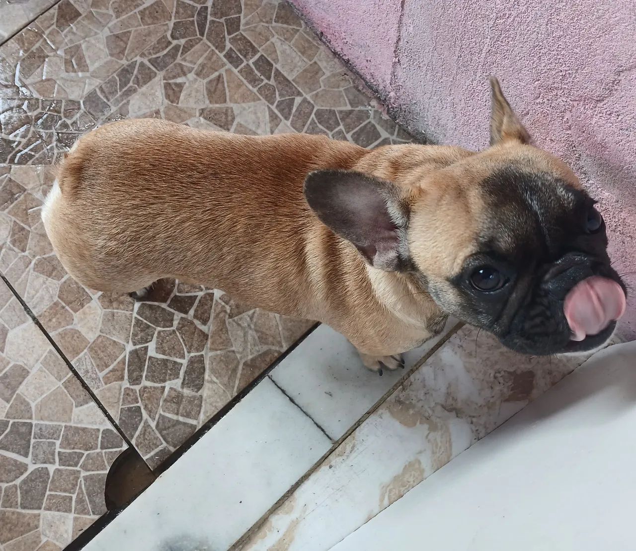 Vende-se  - Foto 2