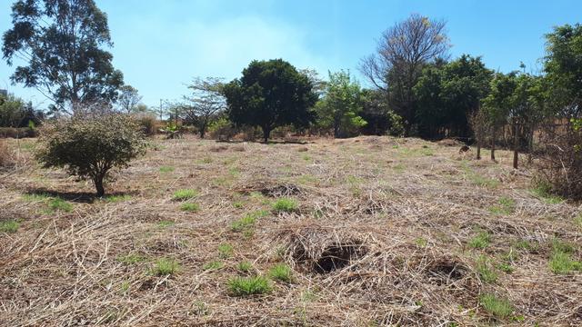 Excelente Chácara 10.000m2 - Rua 00 - Lago Oeste - Foto 13
