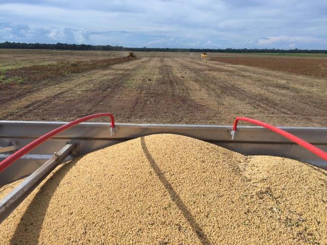 Fazenda 50.000 há (Porteira Fechada) - Foto 20
