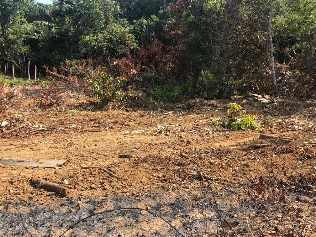 Vendo dois terrenos pelo valor de um no km 7,0 da estrada do Iranduba - Foto 7