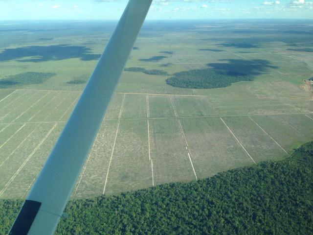 Fazenda 50.000 há (Porteira Fechada) - Foto 5