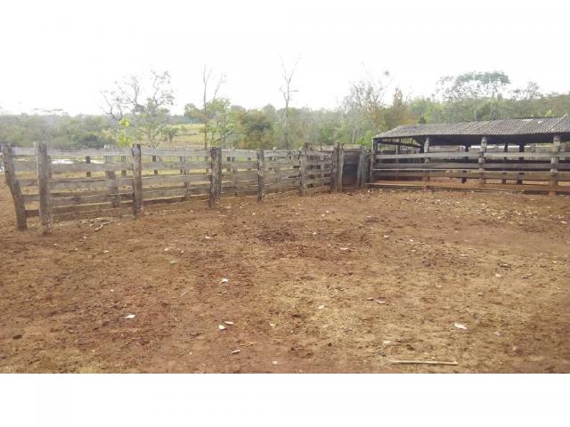 Chácara à venda em Zona rural, Pocone cod:20534 - Foto 6