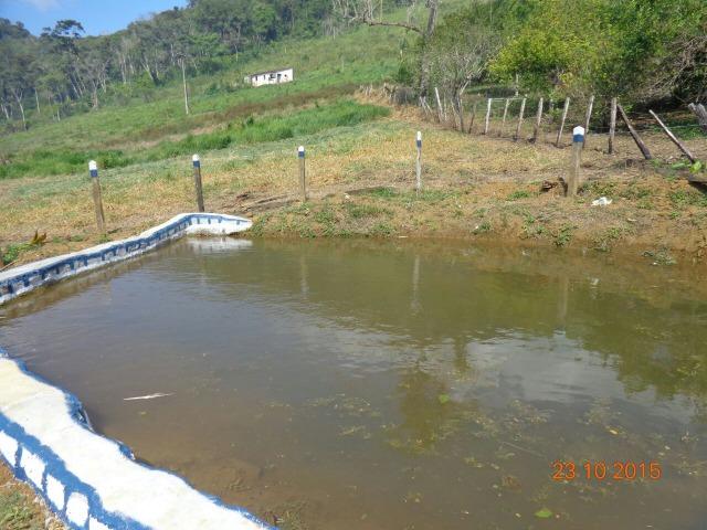Vende fazenda de Cacau com 278 Ha - Camamu - BA - Foto 10