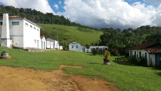Vende fazenda de Cacau com 278 Ha - Camamu - BA - Foto 3