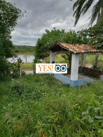 Linda Fazenda para Venda no Distrito de Pau Seco - Humildes - Área 95.832m² - Foto 7
