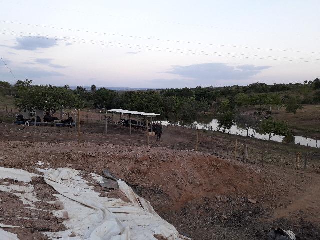 Fazenda à venda, por R$ 900.000.00 - Zona Rural - Luziânia/GO - Foto 13