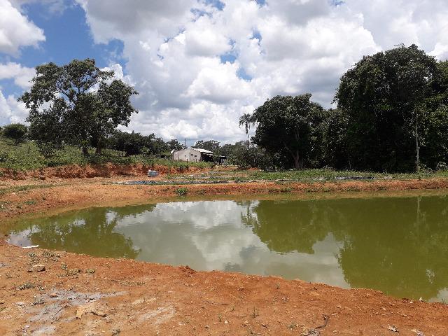 Fazenda à venda, por R$ 900.000.00 - Zona Rural - Luziânia/GO - Foto 14