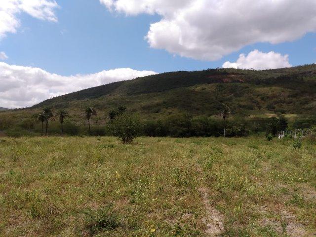 Vendo uma excelente área no bairro da Gameleira da Sede em Campo Formoso / Ba. - Foto 4