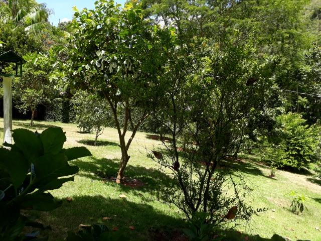 Marechal Floriano - sitio a 6 km da cidada - Foto 10
