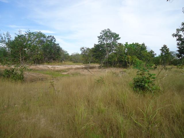 Fazenda em Monte do Carmo-To, 190ha - Foto 11
