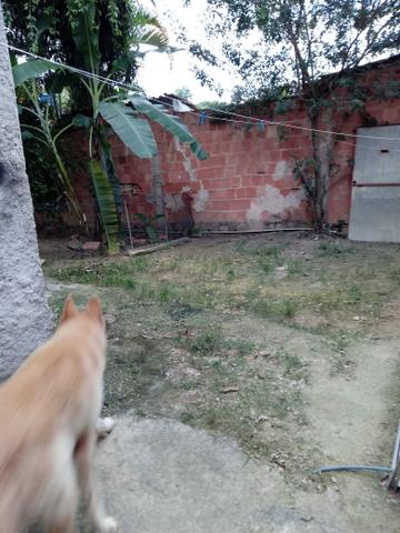 Casa, 2 quartos, sala, corredor, banheiro e cozinha - Foto 11