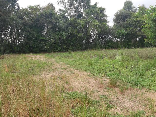 Terreno 1.000 m² Caminho do Vinho