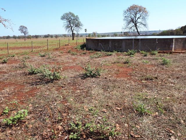 Fazenda em Campo Grande 4mil hectares!! - Foto 12