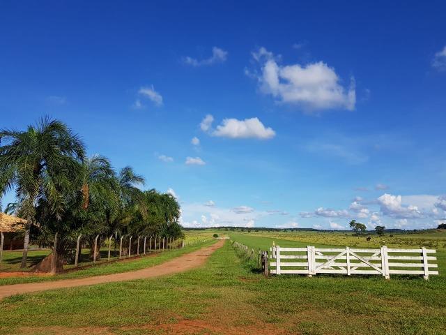 Fazenda em Campo Grande 4mil hectares!! - Foto 15
