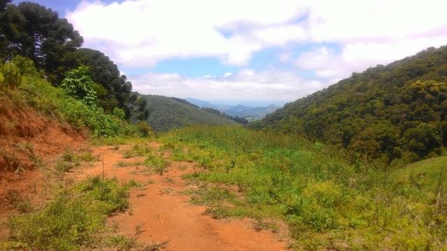 Lindo terreno de 2,8 hectares em Delfim Moreira Sul de Minas Gerais - Foto 5