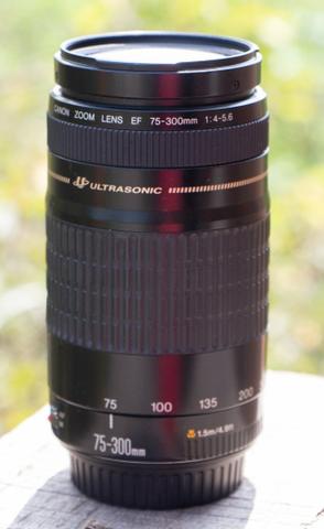 75 300 Canon ultrasonic série dourada