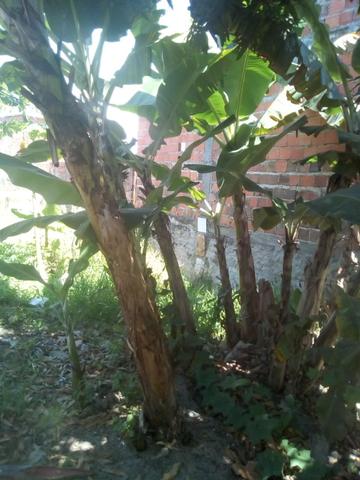 Vendo - Foto 11