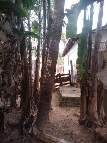 Casa ÓTIMO LOCALIZAÇÃO Várzea Fria - Foto 5