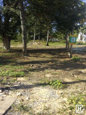 Terreno à venda! no mosqueiro - Foto 2