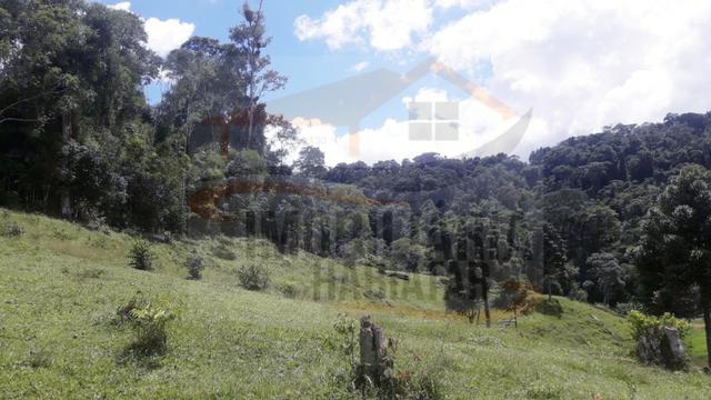 Fazenda de 100 alqueires paulistas, Campina Grande do Sul / PR - Foto 3