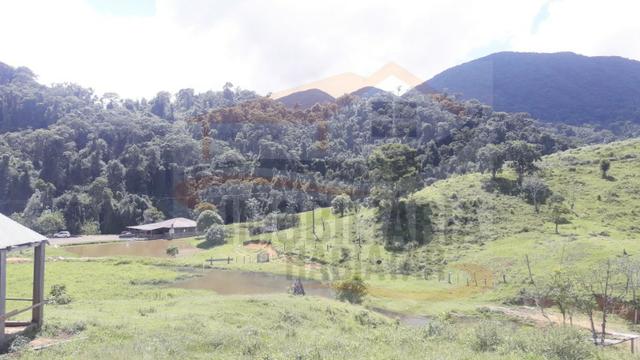 Fazenda de 100 alqueires paulistas, Campina Grande do Sul / PR - Foto 12