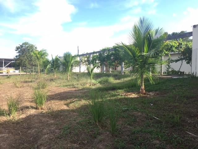 Area industrial 8000 m2, Sitio, Area Verde 12.000 , total 20.000 m2 - Foto 10