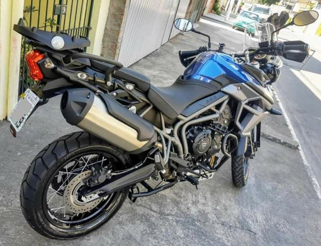 olx triumph tiger