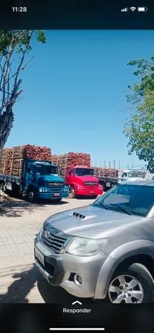 Estacas sabia pra cerca sítio,roça,fazenda,terrenos - Foto 3