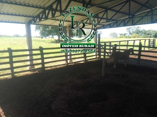 Fazenda 38,5 Alqueires Alqueires - Foto 4