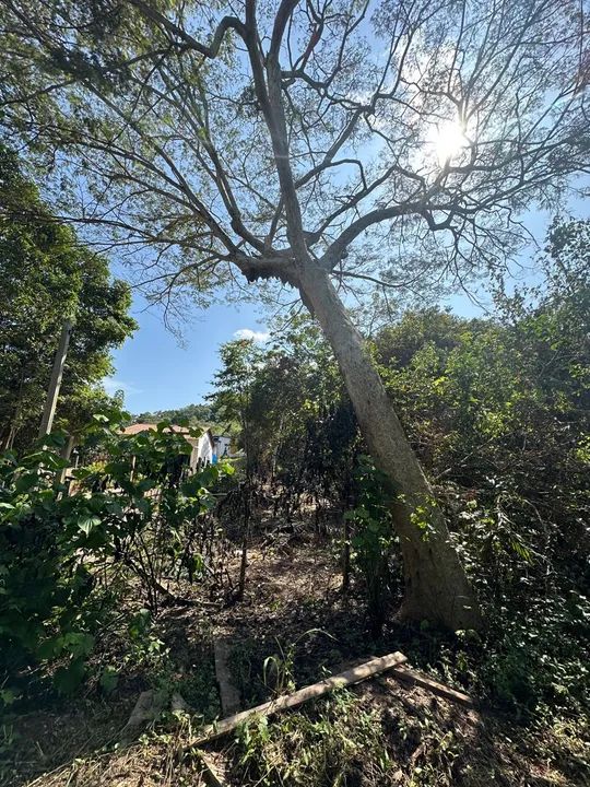 Vende-se terreno 12x40 Localização: Rua Sairé  - Foto 2