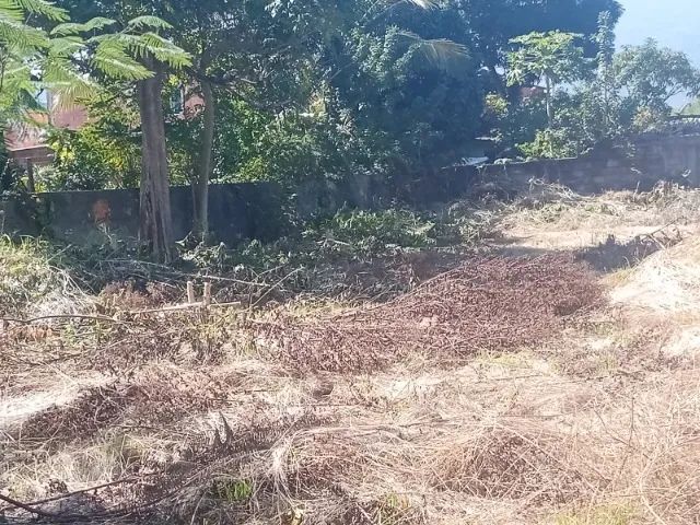 Área de Terreno no Morro Cavado 2000² murado, ideal p/ loteamento, alô investidores  - Foto 4