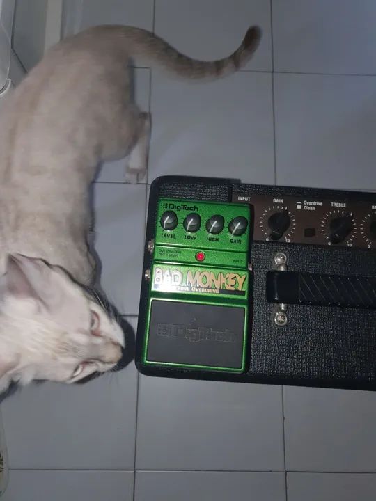 Bad Monkey Digitech.  - Foto 3
