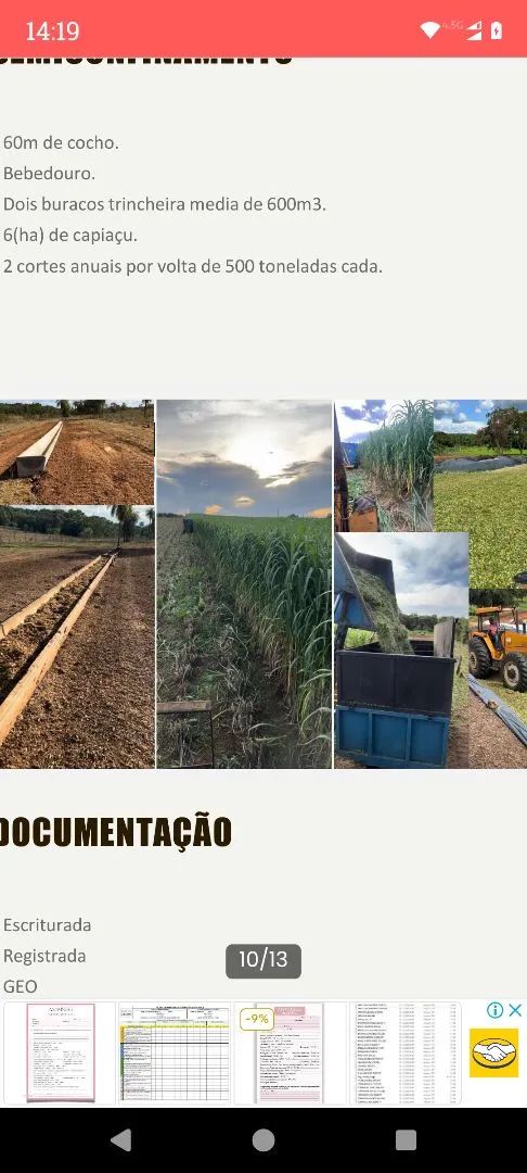 Faz 57 Alq com semi confinamento só 38 km.ds Palmas 