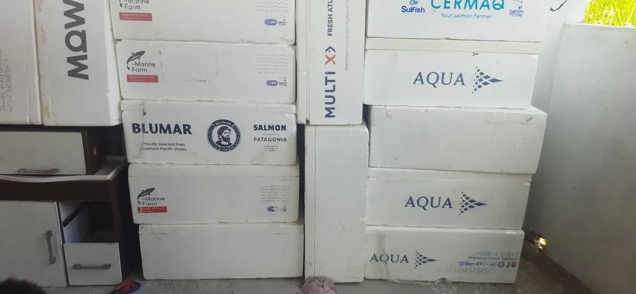 Caixas de Isopor para diversos 