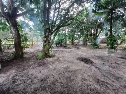 foto - São José de Ribamar - 