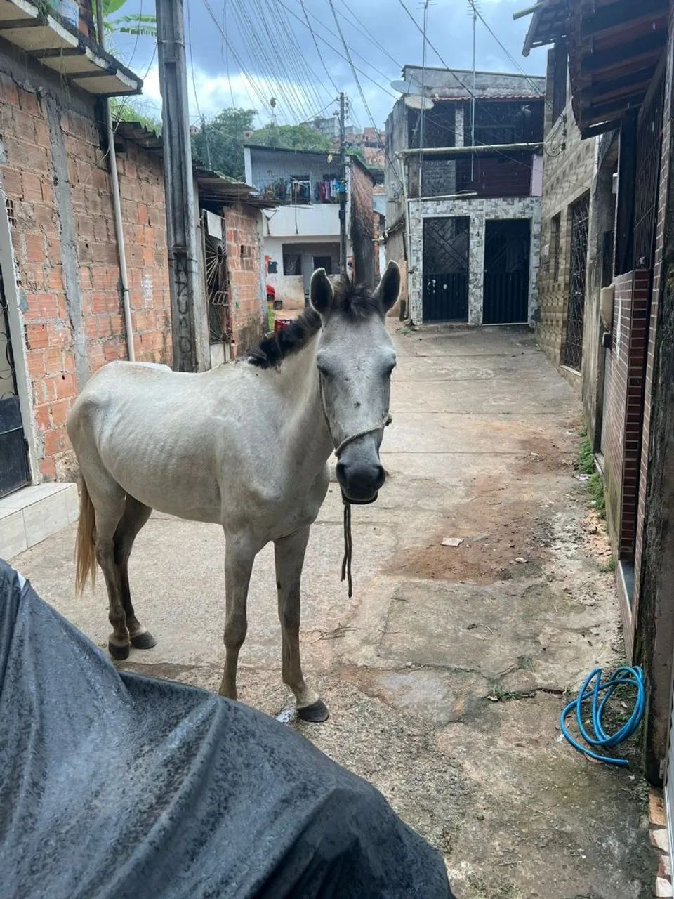 PORDA DE SEGUNDA MUDA: PARA VENDER. - Foto 3