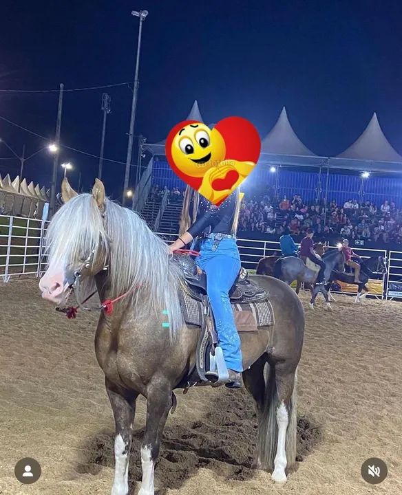 Cavalo crioulo Cuiudo confirmado 