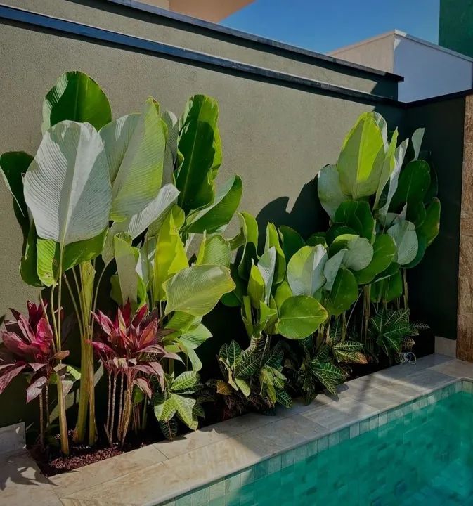 PAISAGISMO, JARDINAGEM EM GERAL - Foto 6