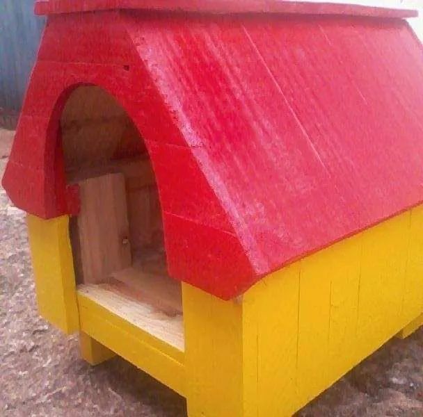 Casinhas de cachorro 