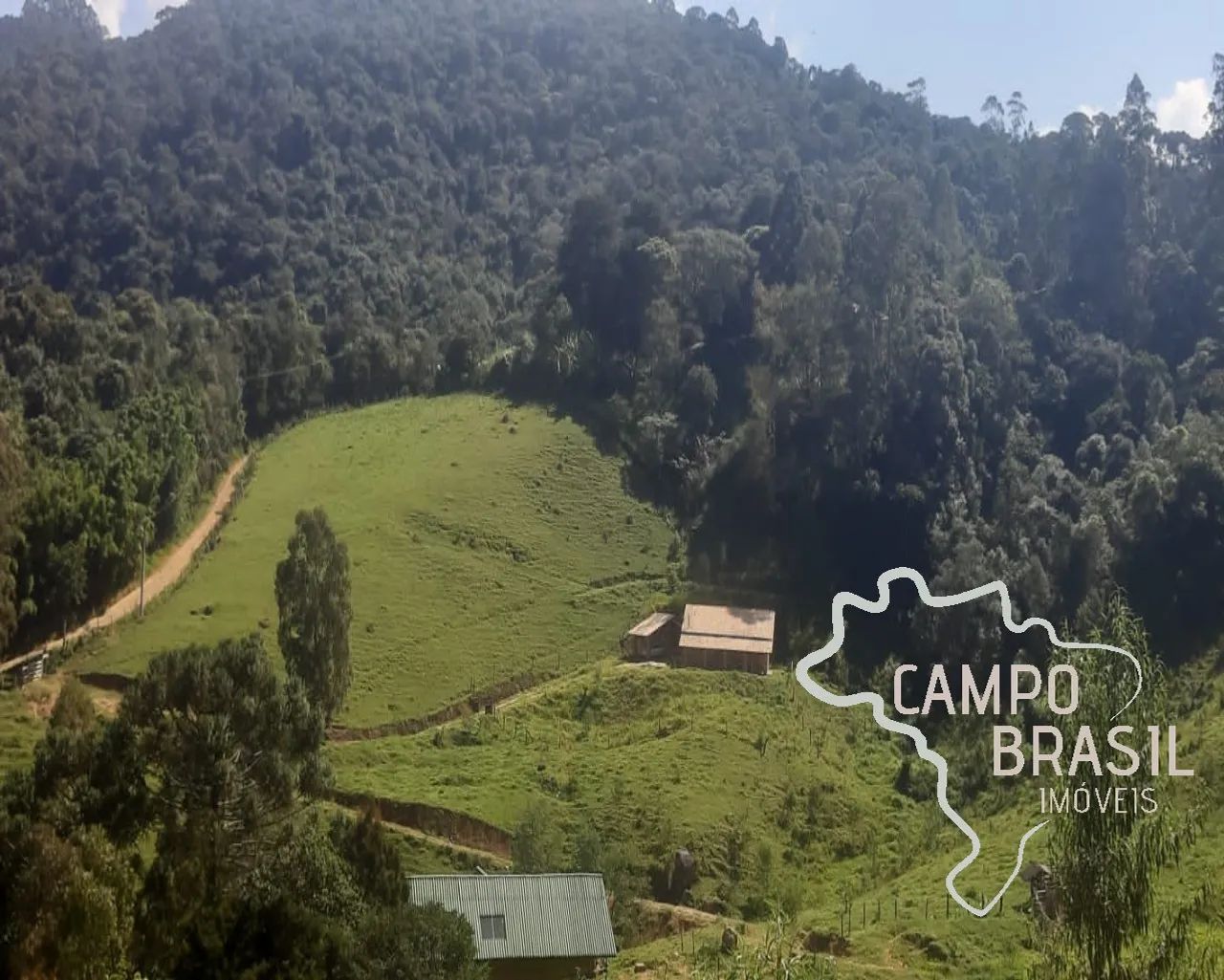 LINDO SITIO 41.000 M² EM JOANÓPOLIS! - Foto 2